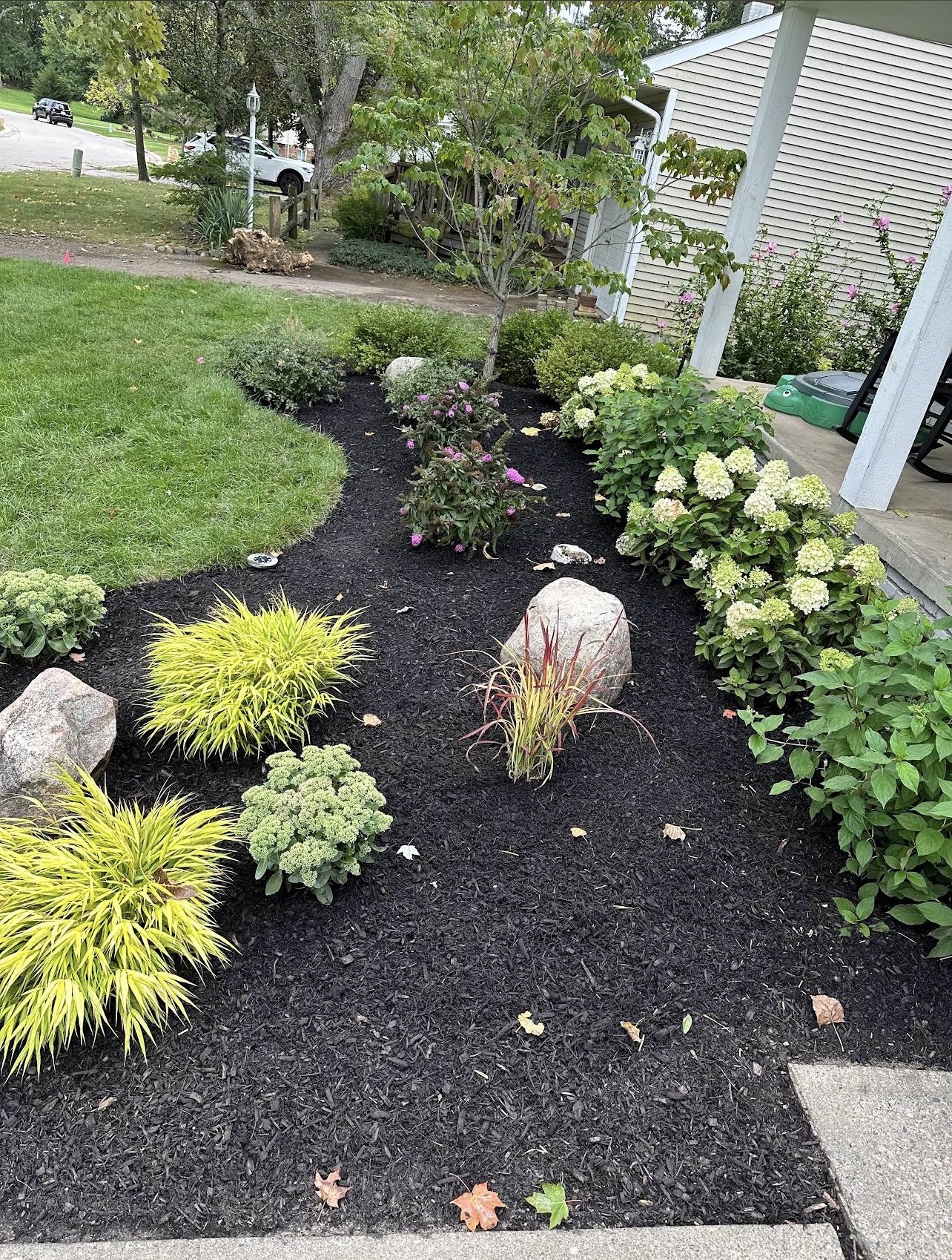 Curved black mulch bed with ornamental grasses, hydrangeas and boulders